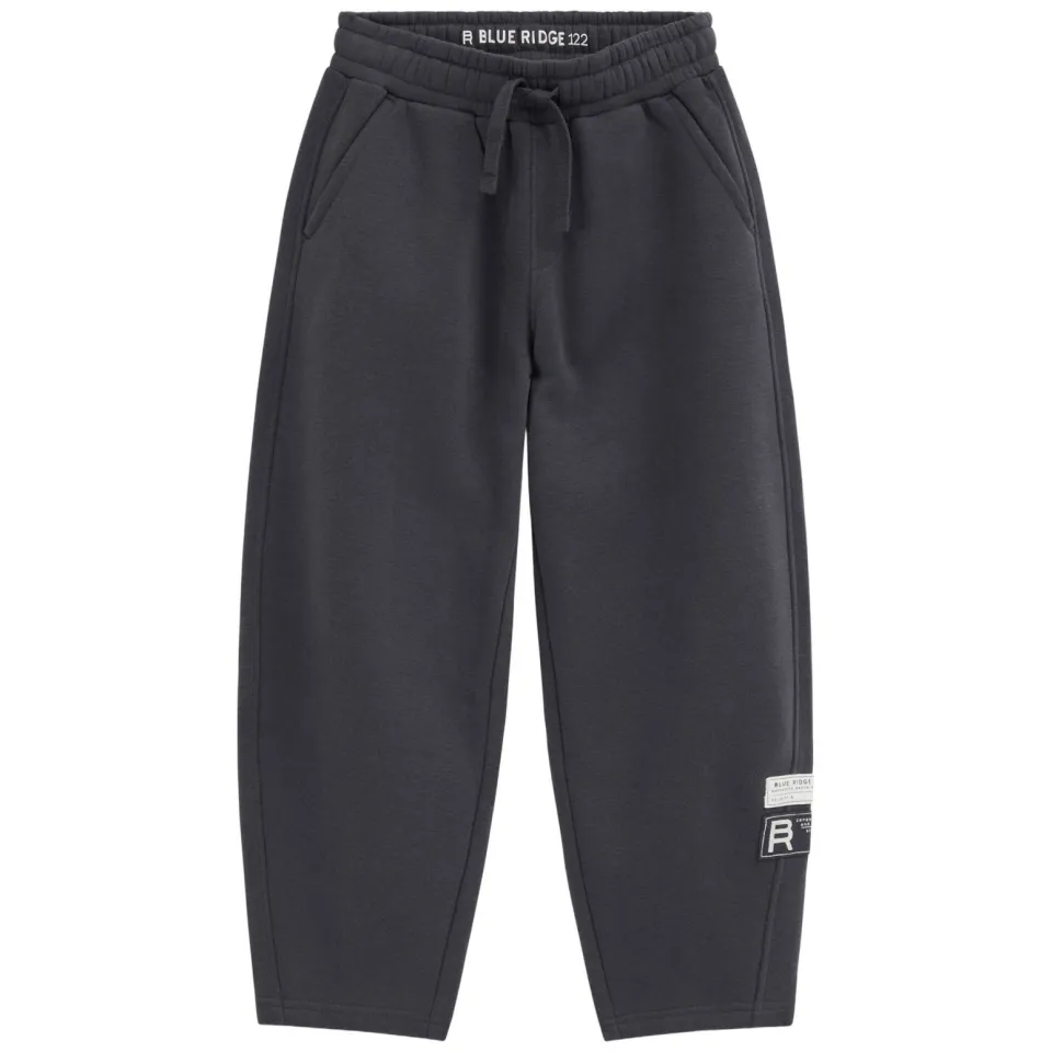 WE Fashion Blue Ridge loose fit joggingbroek antraciet, foto 2
