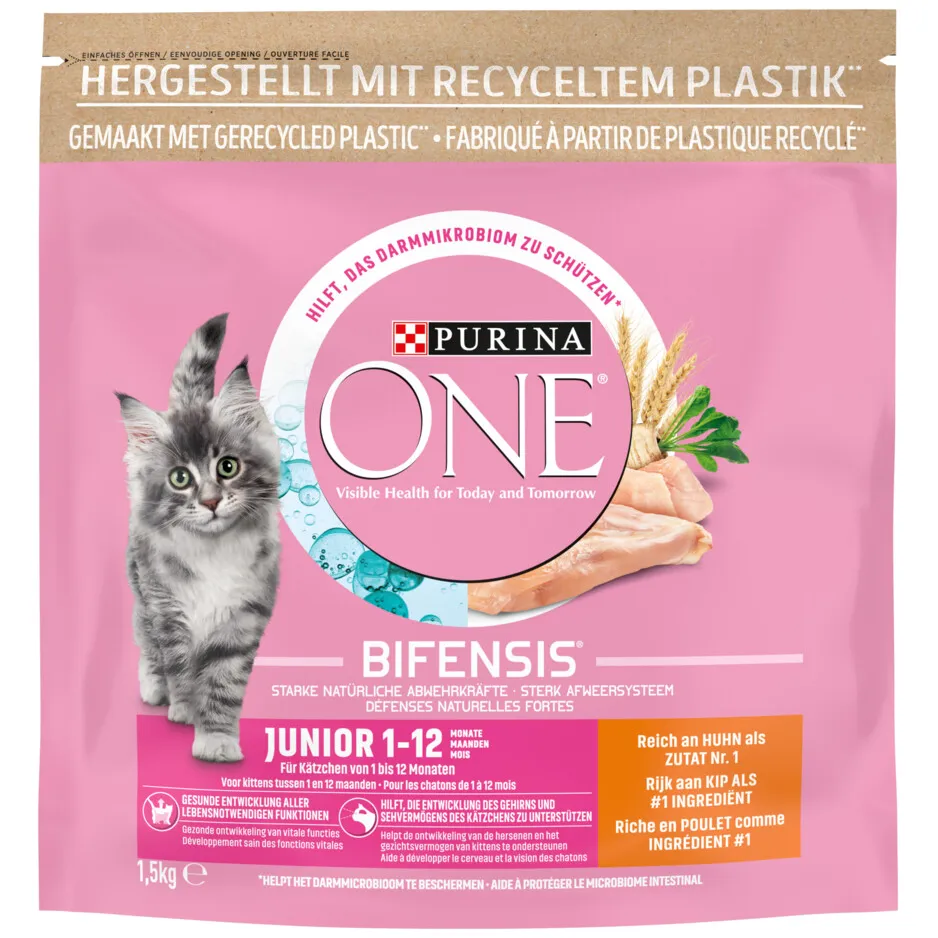 Purina ONE Junior droog kattenvoer met kip