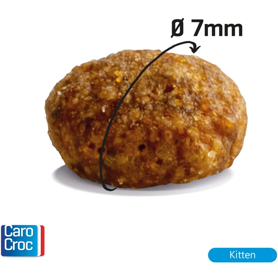 CaroCroc Kattenvoer Droog Kitten 2 kg