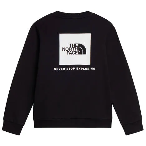The North Face Evolution Box NSE sweater met backprint - zwart, foto 3