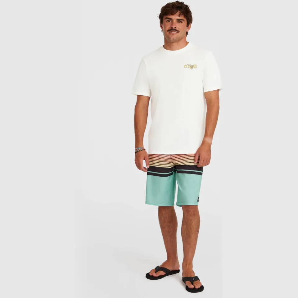 O'Neill Graphic Logo T-shirt wit, foto 4
