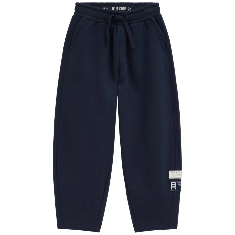 WE Fashion Blue Ridge joggingbroek marineblauw, foto 2
