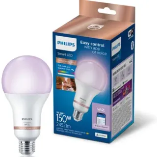 Philips Slimme Ledlamp E27 18,5w Wit