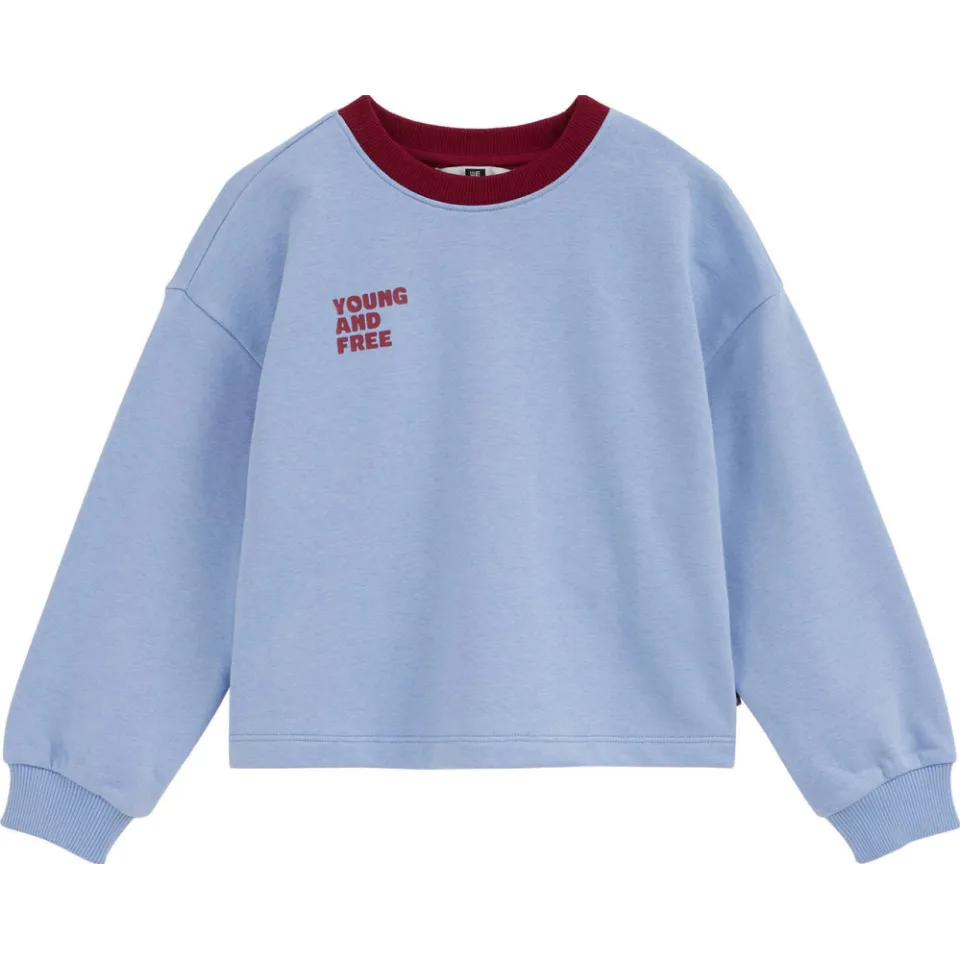 WE Fashion sweater met tekst - lichtblauw/donkerrood, foto 2