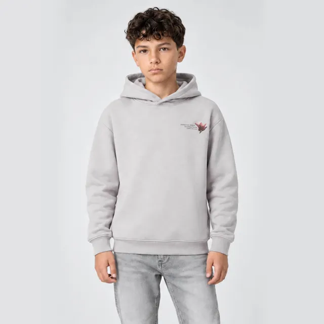 Cars hoodie met backprint - grijs