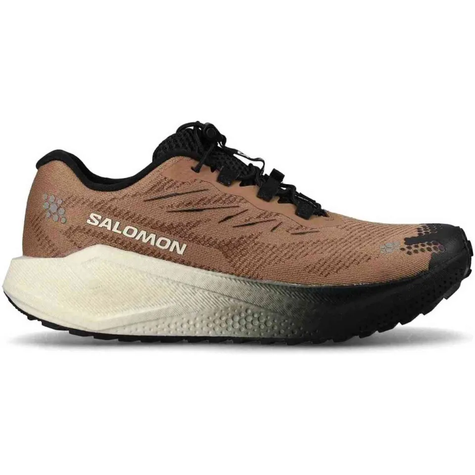 Salomon Aero Blaze 4 GRVL hardloopschoen bruin, foto 2
