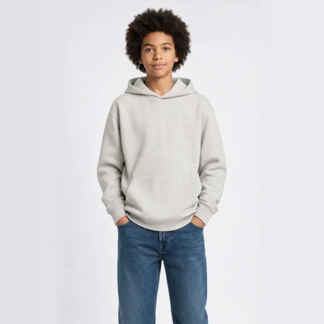Petrol Industries hoodie met backprint - lichtgrijs