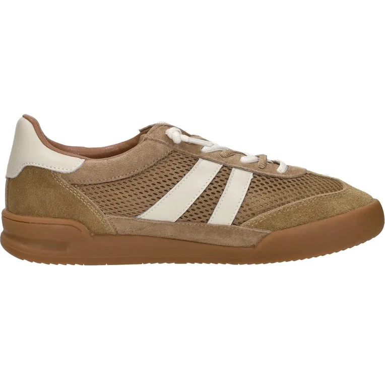 Steve Madden Verdict lage sneakers cognac