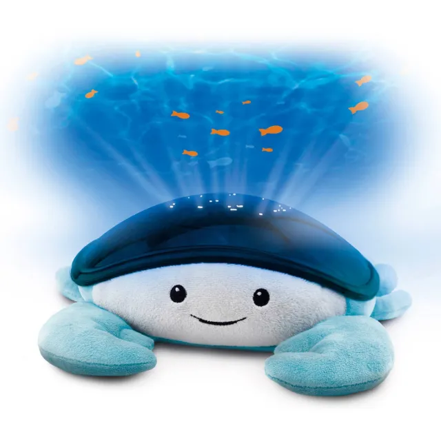 Zazu Cody Ocean Projector