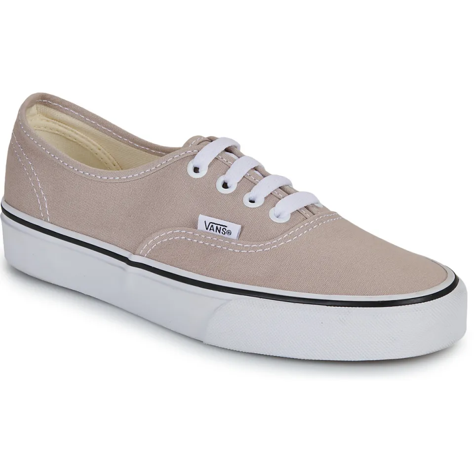 Vans Authentic Color Theory lage sneakers taupe, foto 2