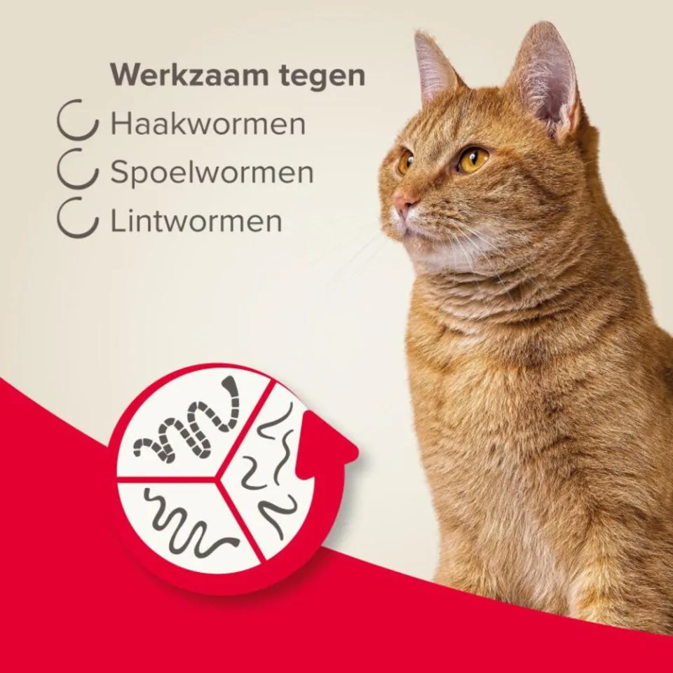 Beaphar All-in-one Ontworming Tabletten Kat Vanaf 1 kg 2 tabletten, foto 4