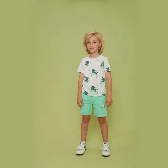 Sturdy Lagoon Legends T-shirt wit, foto 5