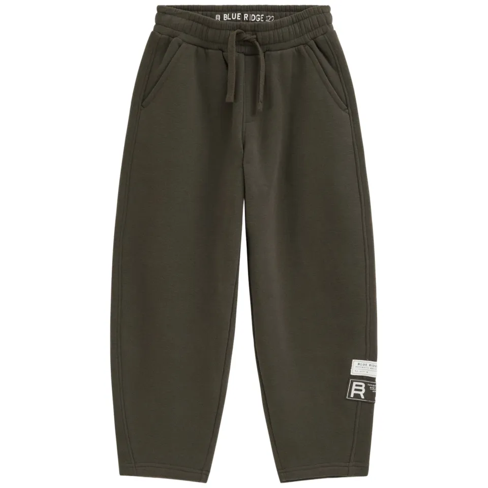WE Fashion Blue Ridge loose fit joggingbroek donkergroen, foto 2