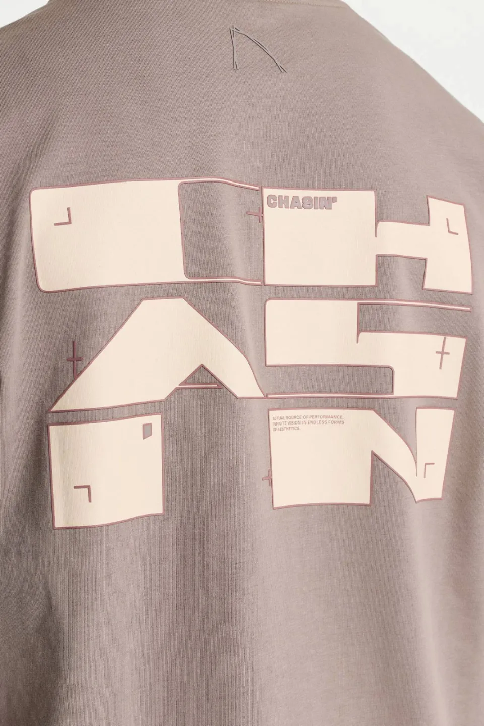 CHASIN' oversized T-shirt met backprint - driftwood taupe, foto 5