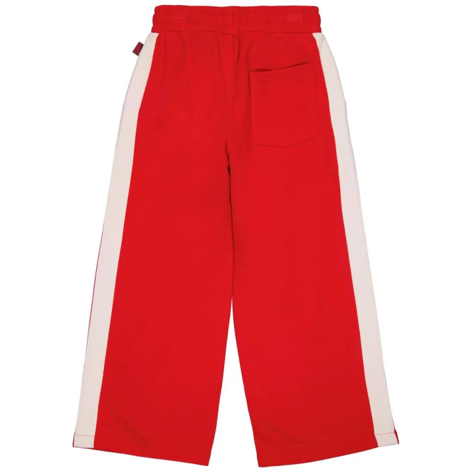 QPI gestreepte joggingbroek rood, foto 2