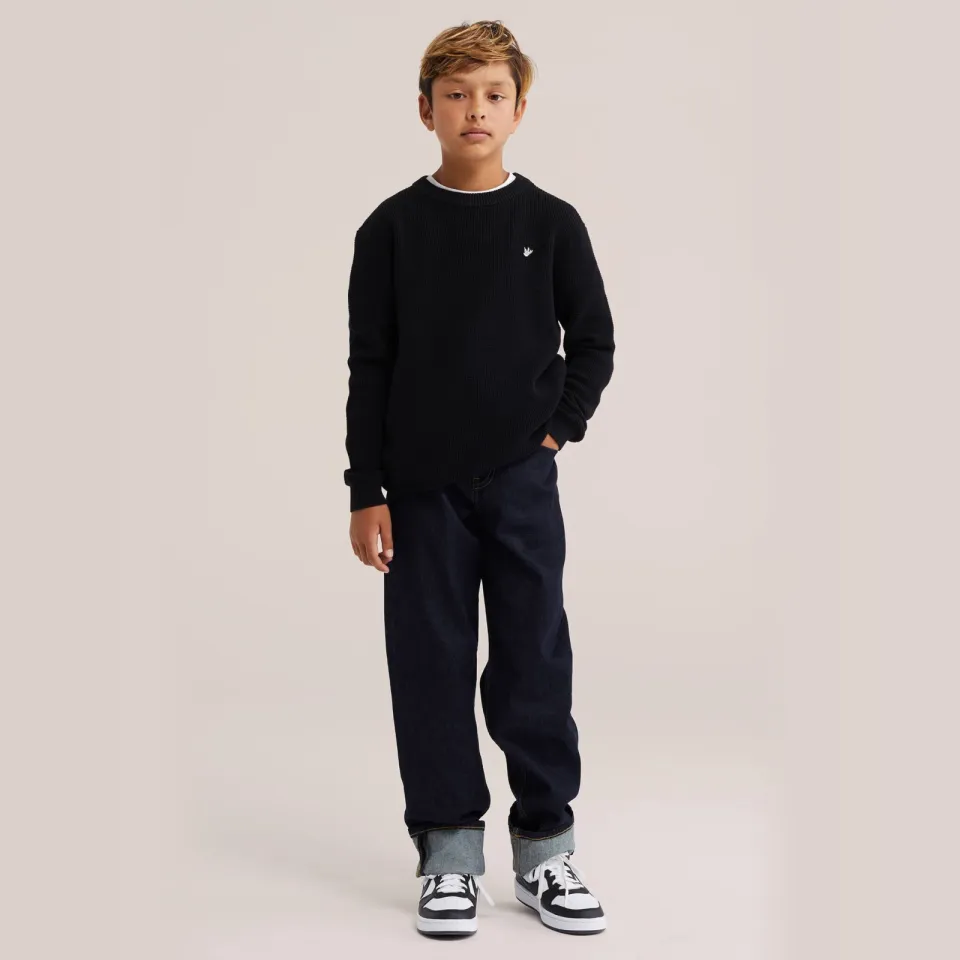 WE Fashion katoenen gebreide trui - zwart Black Uni