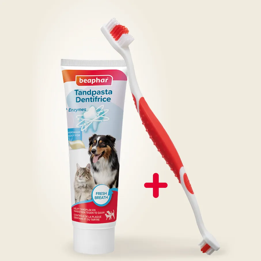 Beaphar tandpasta met tandenborstel hond en kat