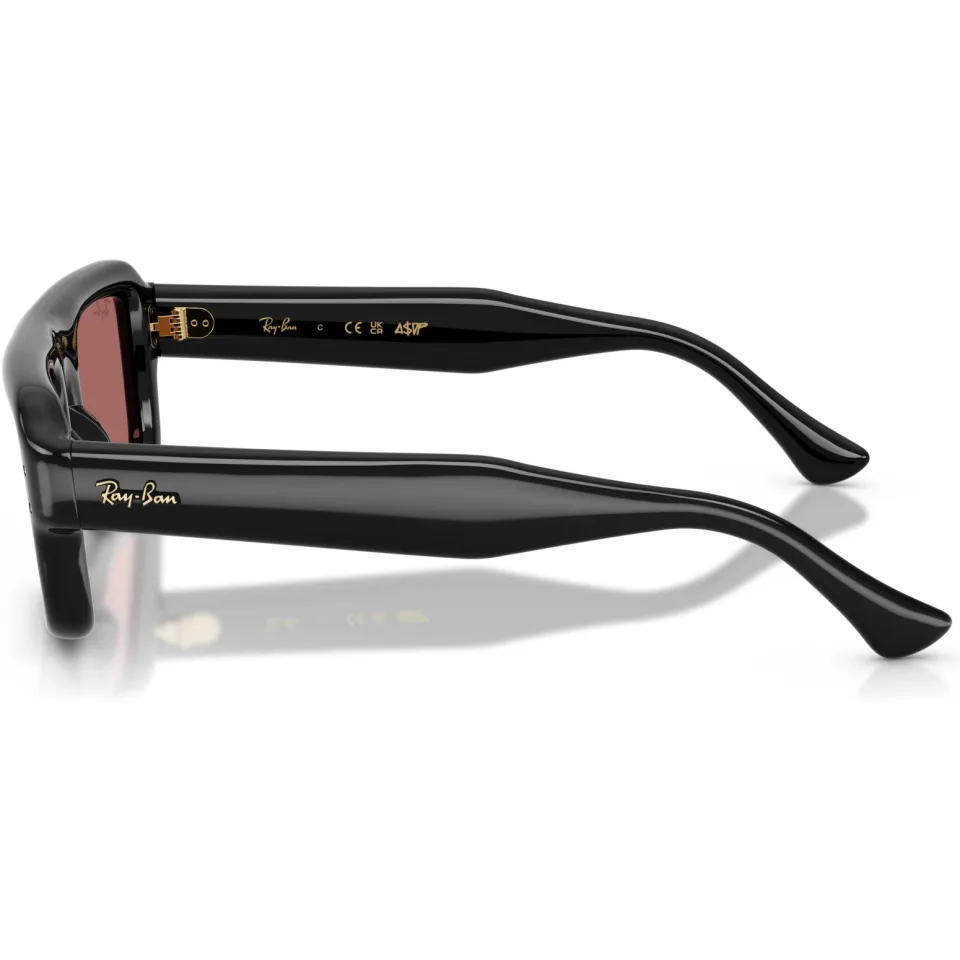 Ray-Ban x A$AP Rocky 0RB4954 zonnebril zwart, foto 4