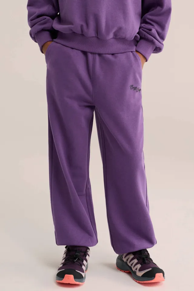 WE Fashion joggingbroek paars, foto 3