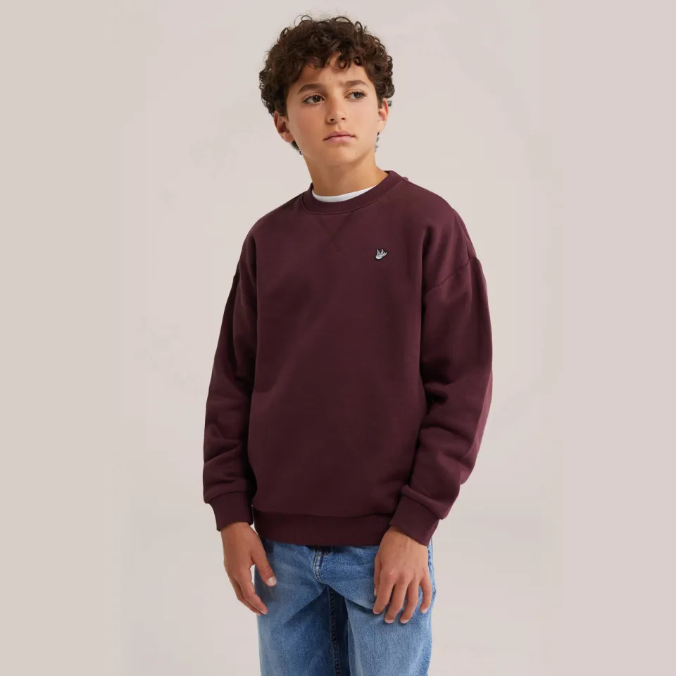 WE Fashion sweater - donkerrood, foto 3