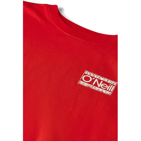 O'Neill Cali T-shirt rood, foto 6