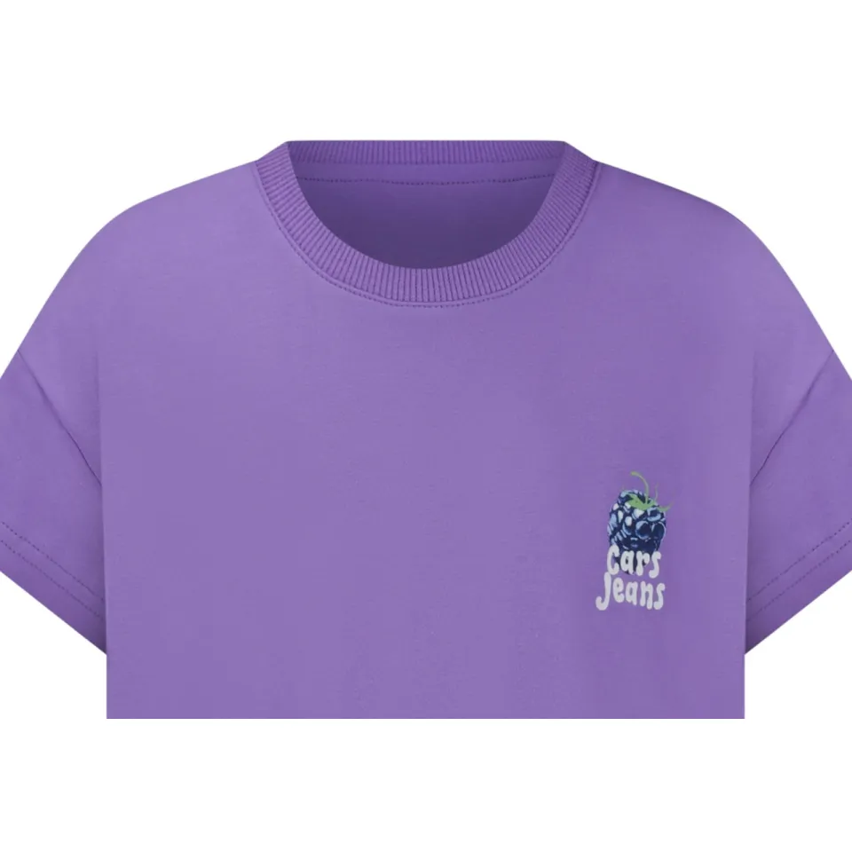 Little Cars Elva t-shirt paars, foto 5