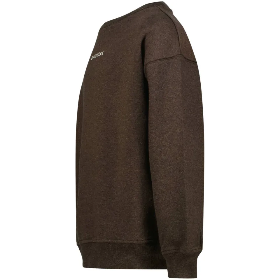Raizzed oversized sweater met backprint - bruin, foto 4