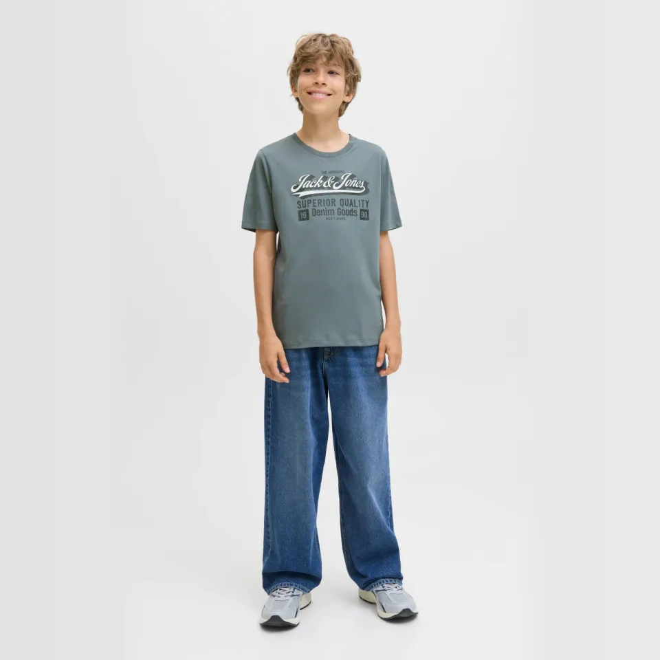 Jack & Jones JJELOGO t-shirt grijsblauw, foto 3