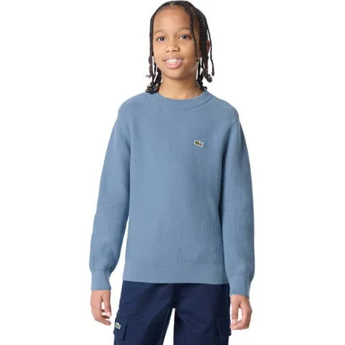 Lacoste sweater met logo - blauw, foto 2