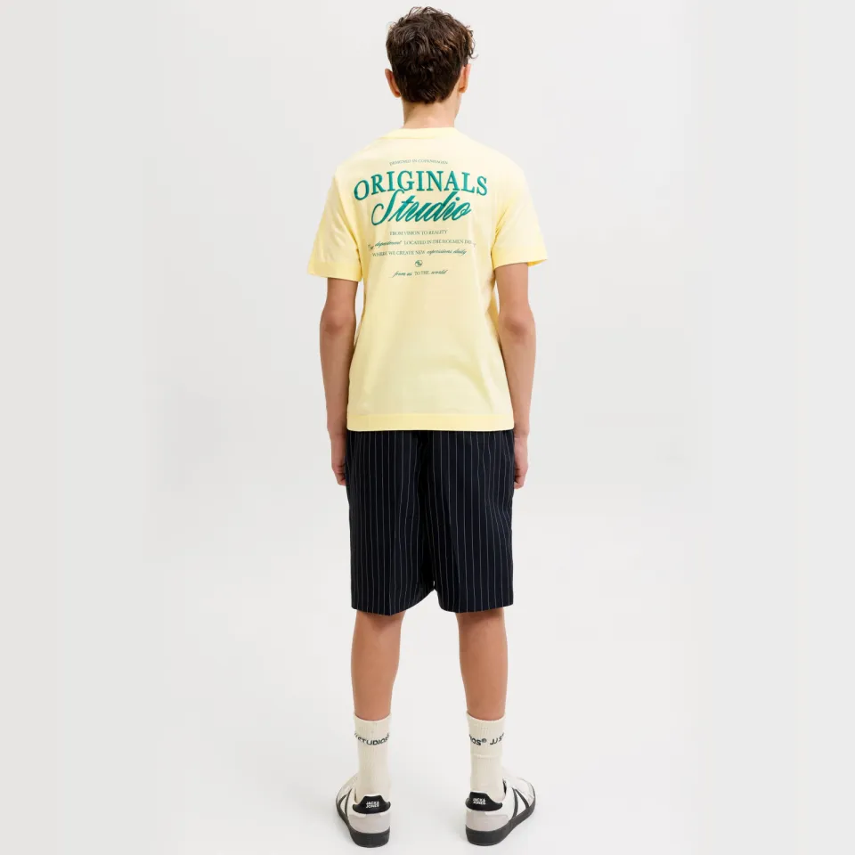Jack & Jones JORNORREBRO T-shirt lichtgeel, foto 3