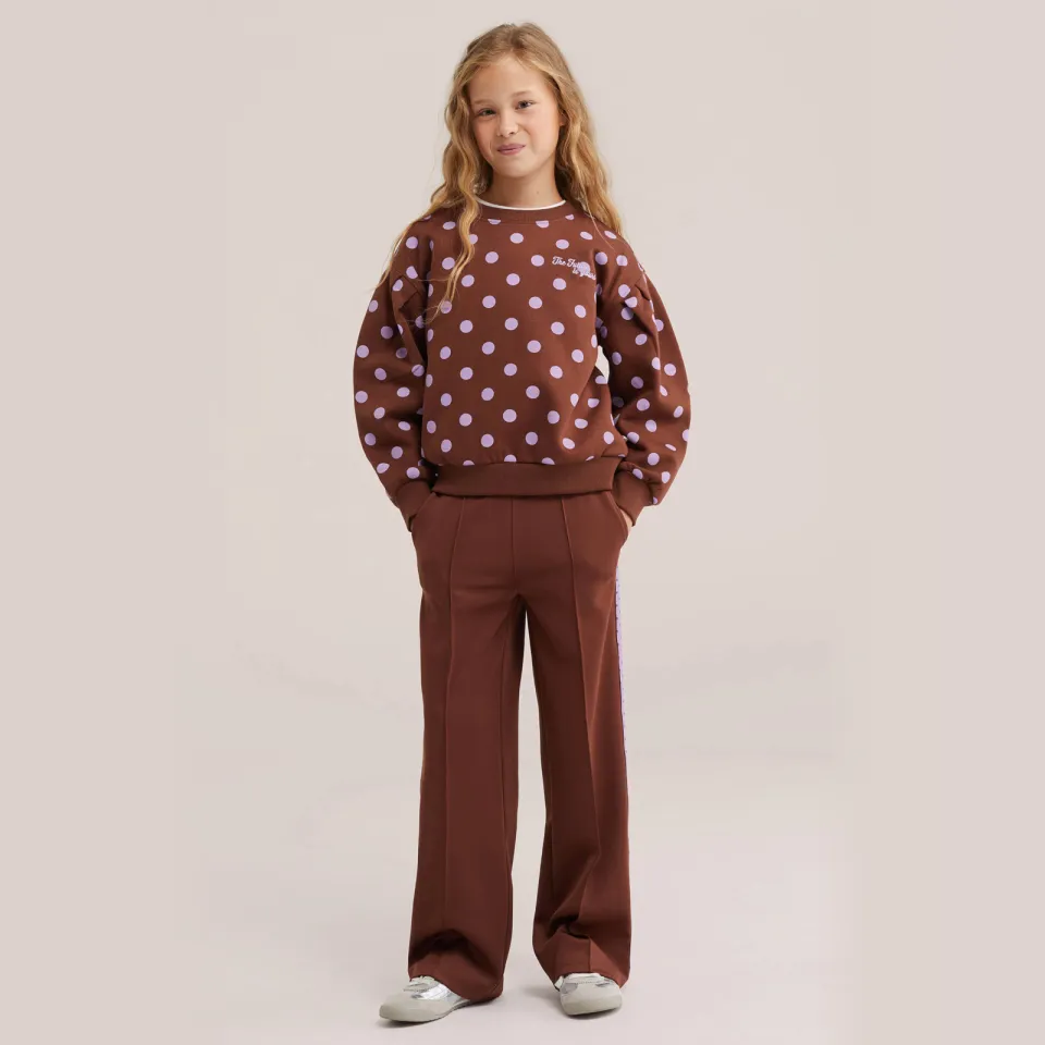WE Fashion loose fit joggingbroek bruin Bruin/paars