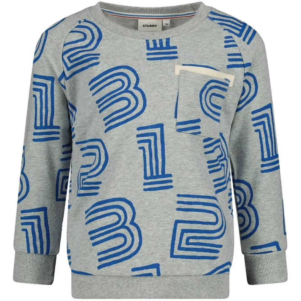 Sturdy sweater Run the Day grijs melange/blauw, foto 2