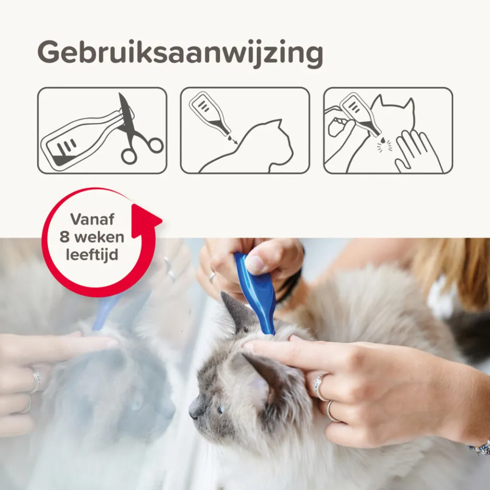 Beaphar Combotec vlooiendruppels kat, foto 2
