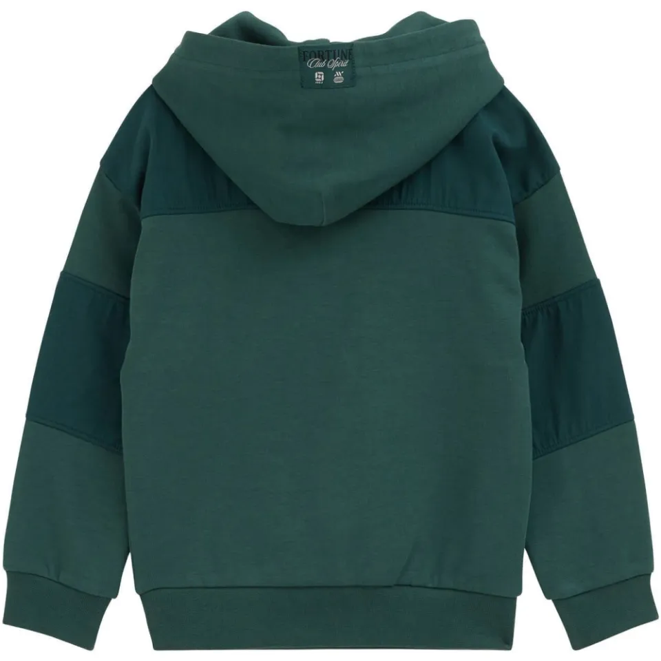 WE Fashion hoodie - donkergroen, foto 3