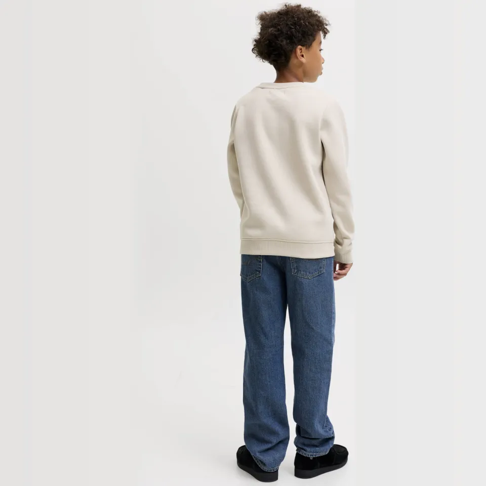 Jack & Jones JUNIOR sweater met tekst - beige, foto 4