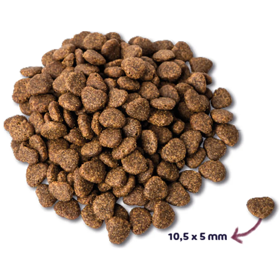 Renske Super Premium Adult eend kattenvoer, foto 3