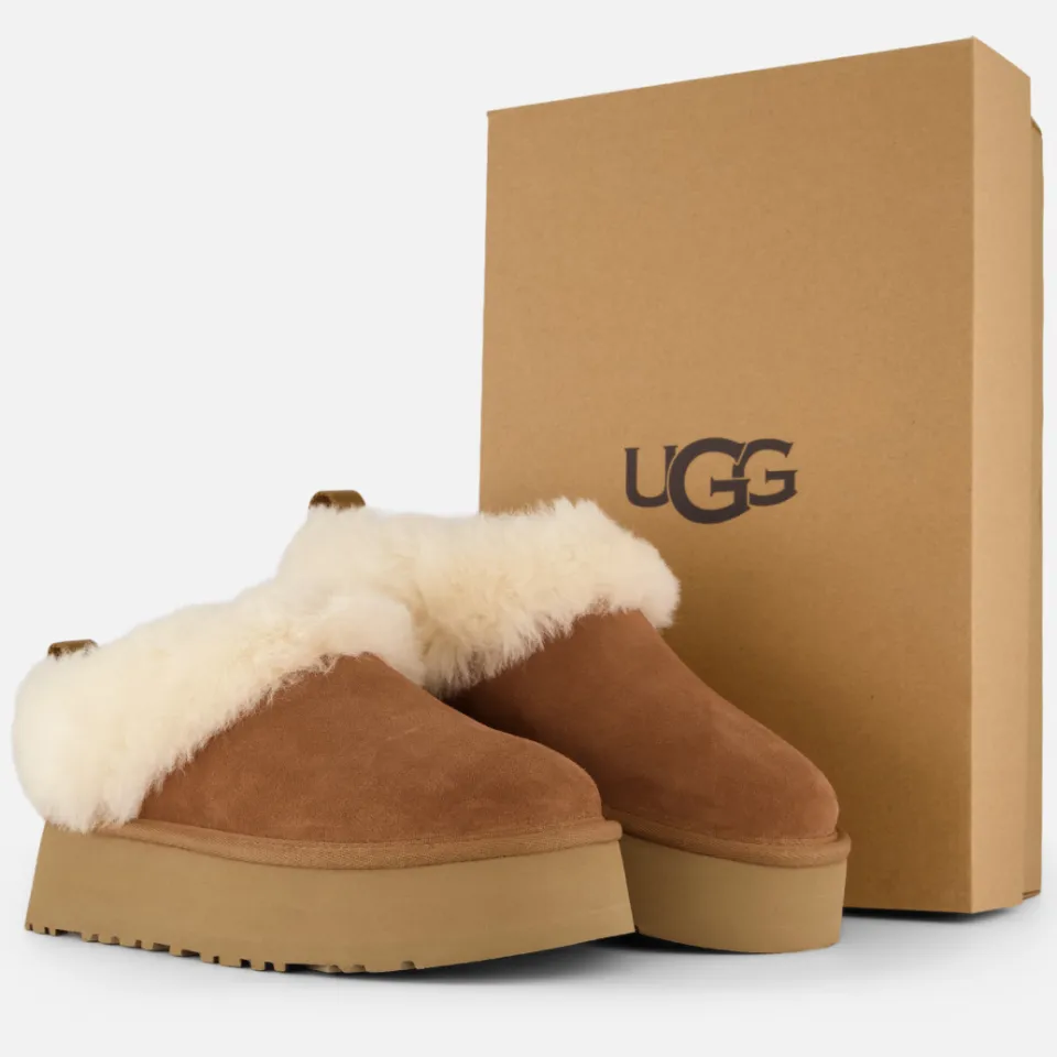Ugg Tazzelle laarzen cognac, foto 2