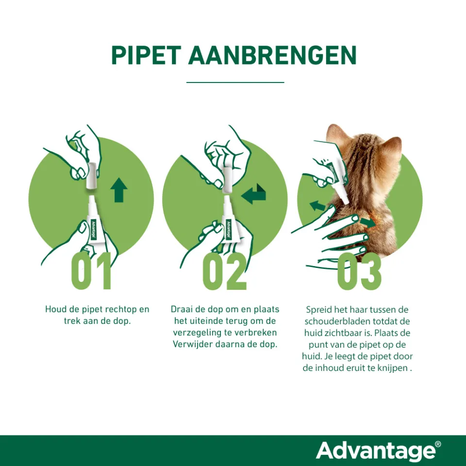 Advantage Kat 80 anti vlooiendruppels, foto 3