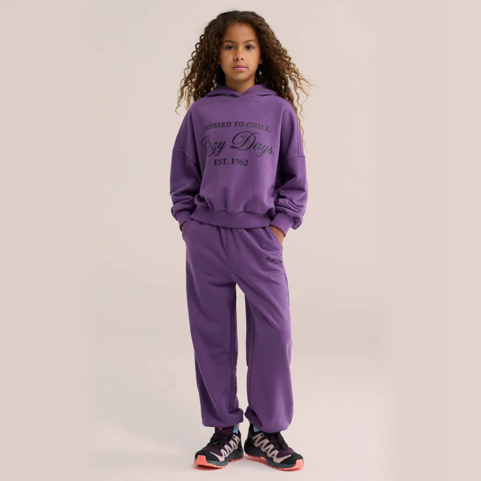 WE Fashion joggingbroek paars
