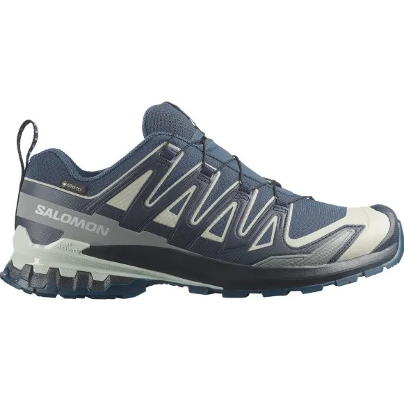 Salomon XA Pro 3D V9 GTX multisportschoenen blauw