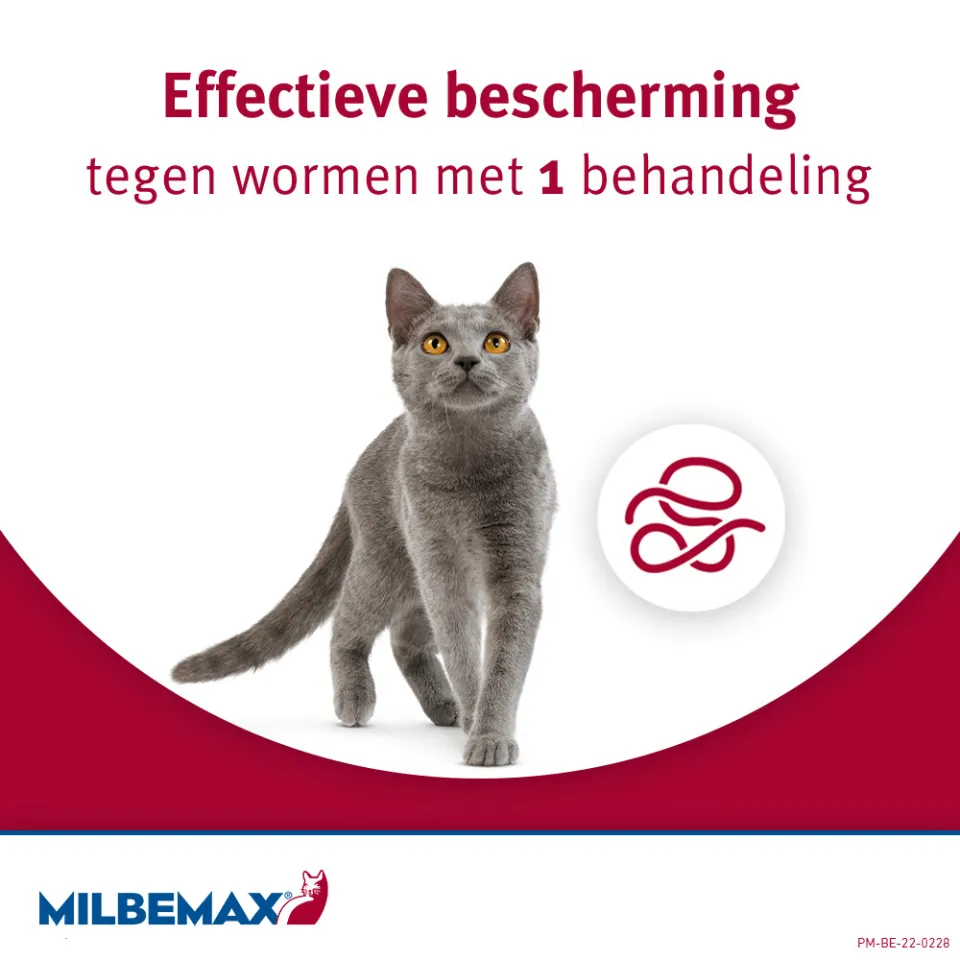 Milbemax Ontworming Tabletten Kat 2 - 12 kg 2 x 2 tabletten, foto 2