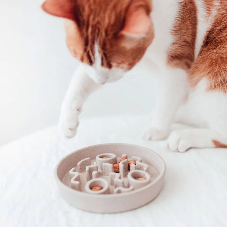 District 70 kattenvoerbak BAMBOO Cat Slow Feeder - ø 13,5 cm - Merengue, foto 3