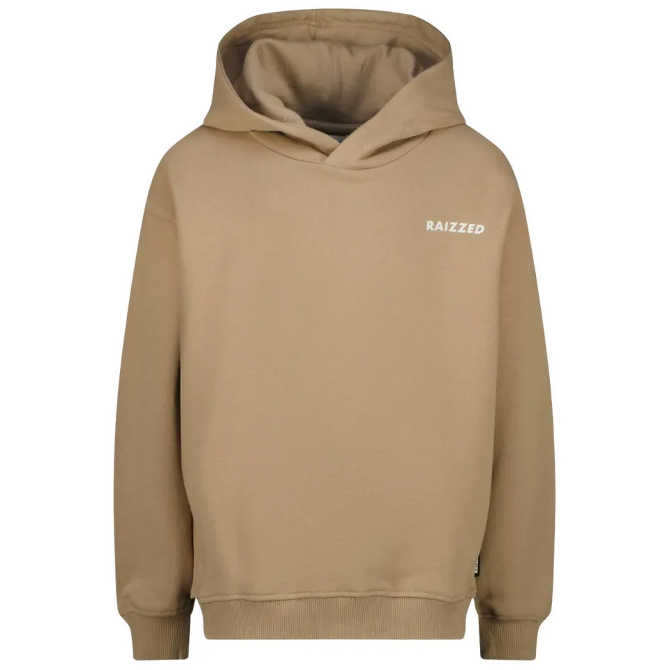 Raizzed hoodie met backprint - bruin, foto 2