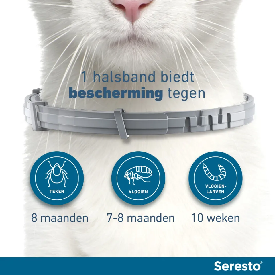 Seresto anti vlooien en tekenhalsband kat grijs, foto 3