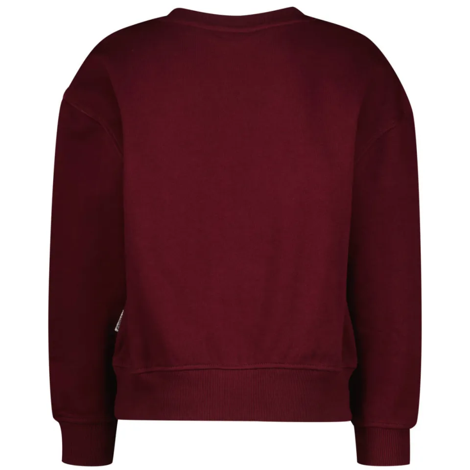 Vingino sweater met logo - donkerrood, foto 4