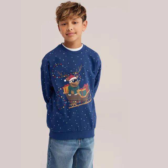 WE Fashion rechtvallende sweater met sterren - blauw