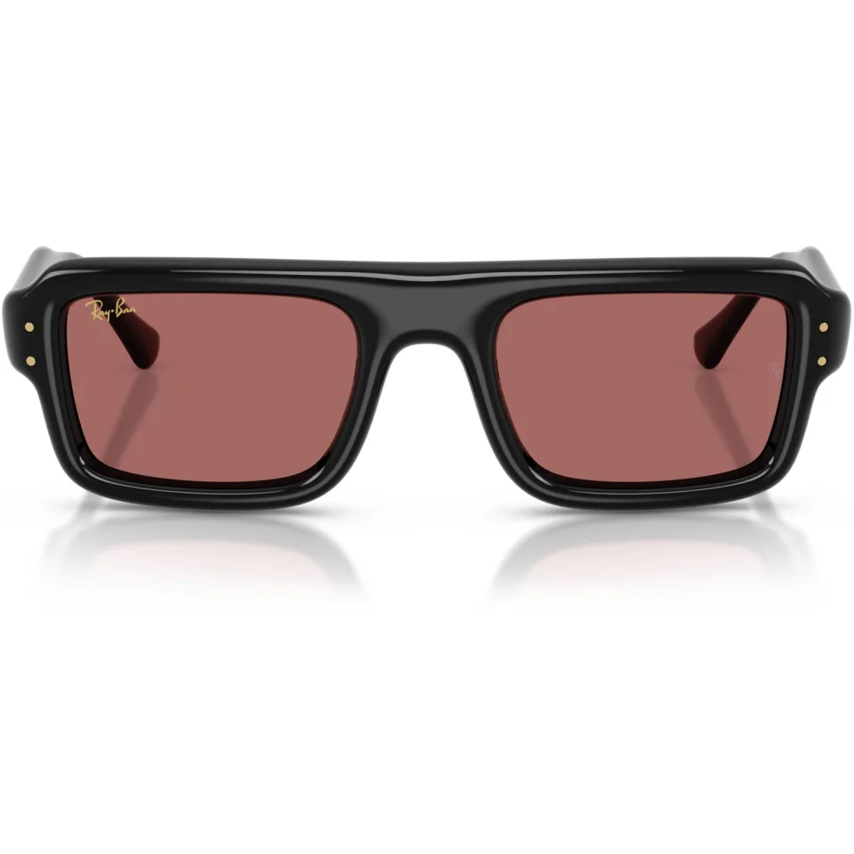 Ray-Ban x A$AP Rocky 0RB4954 zonnebril zwart, foto 3