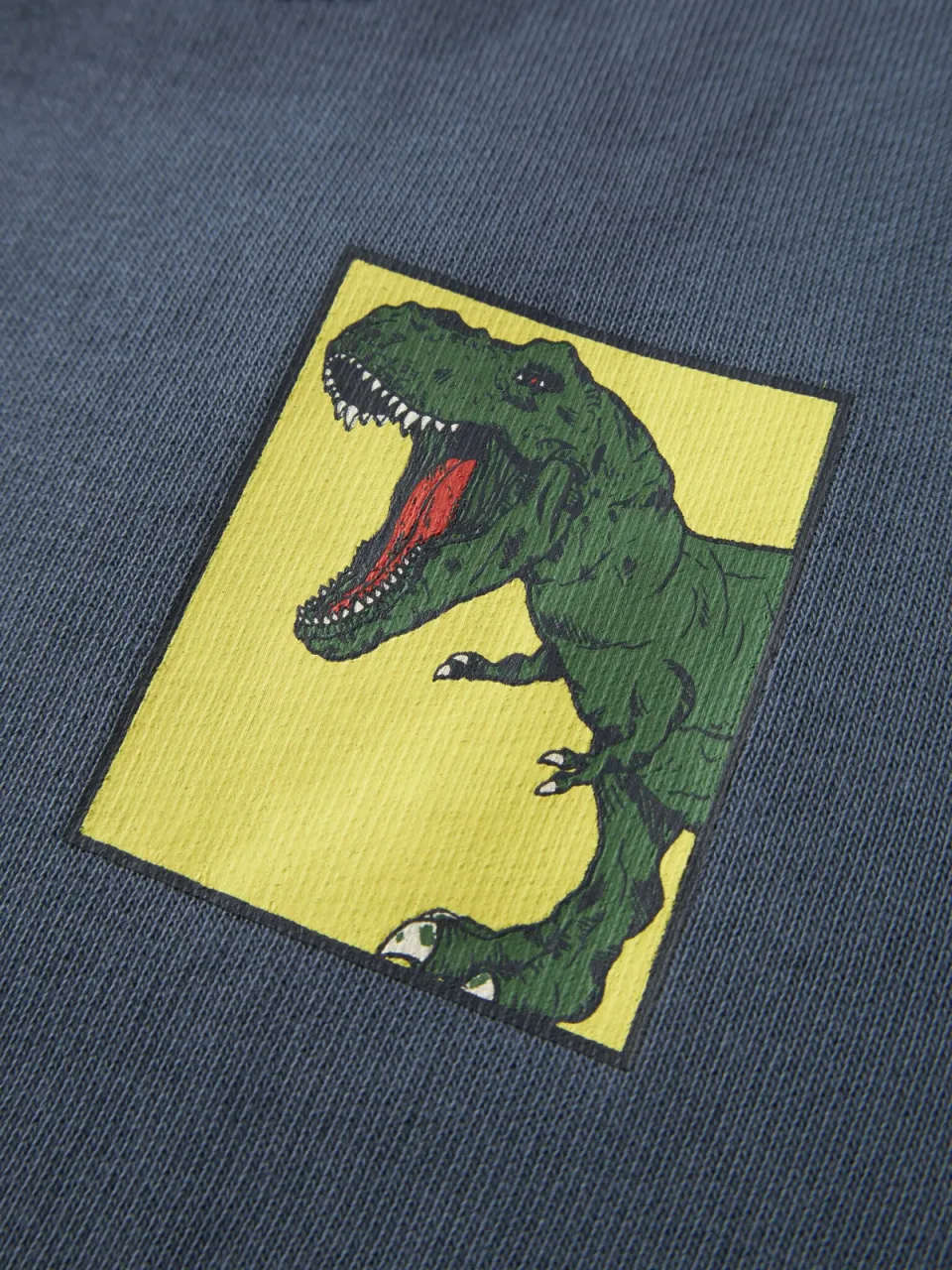 NAME IT MINI sweater met backprint - blauw Jongens Katoen Ronde hals Backprint, foto 4