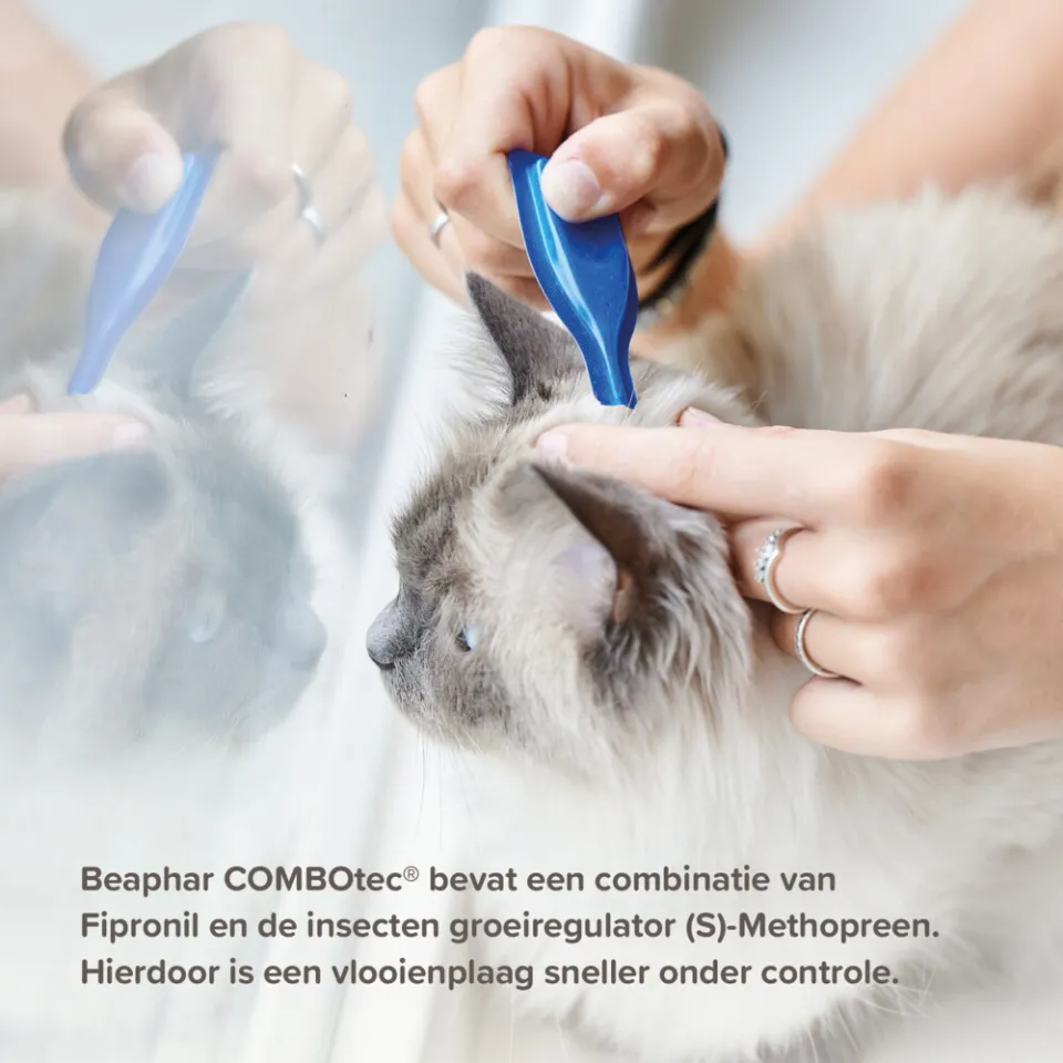 Beaphar Combotec vlooiendruppels kat, foto 3