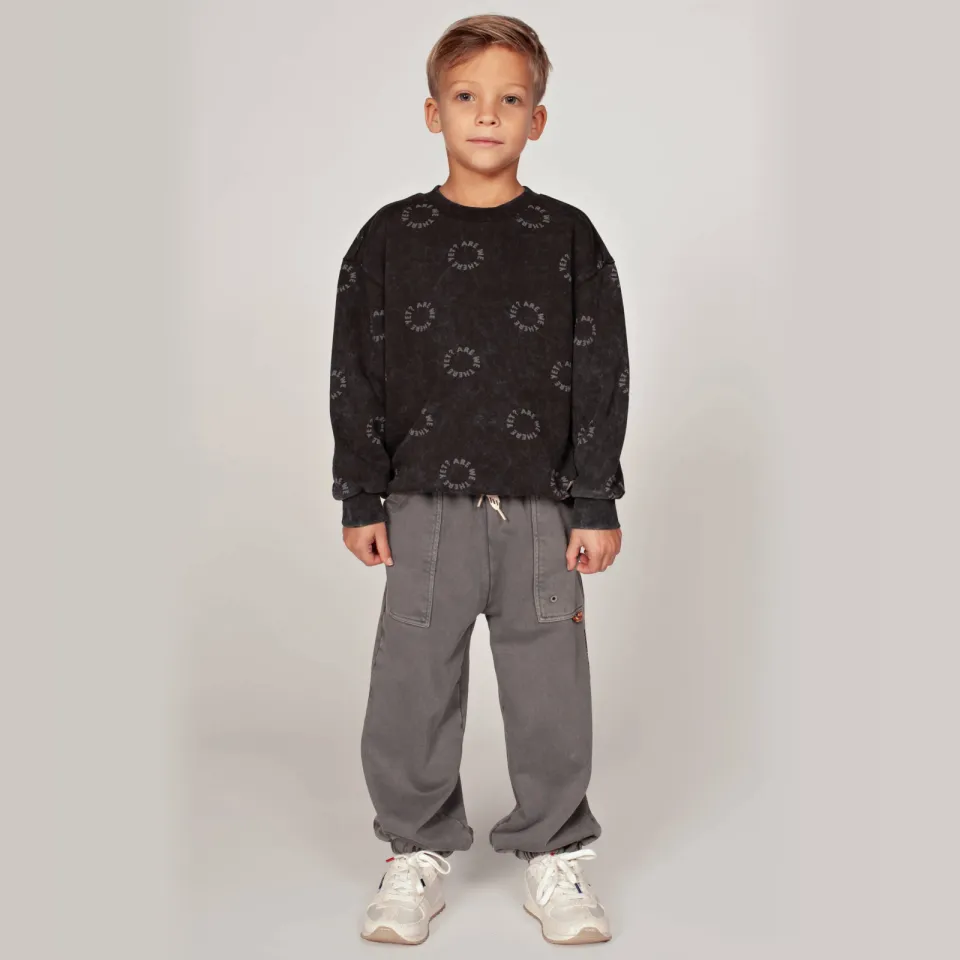 Sturdy Mountain top joggingbroek grijs, foto 5